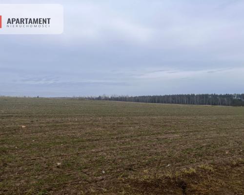 Działki z WZ - Dom jednorodzinny