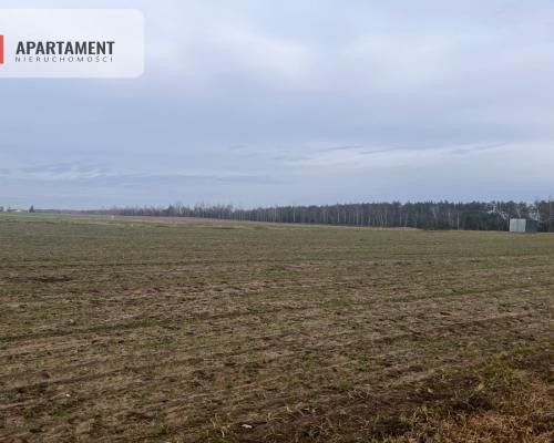 Działki z WZ - Dom jednorodzinny