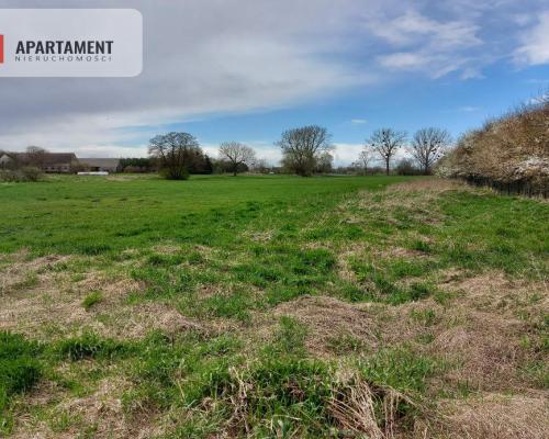 6 tyś m2 w Małych Rudach, raj dla fanów przyrody