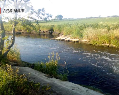 6 tyś m2 w Małych Rudach, raj dla fanów przyrody