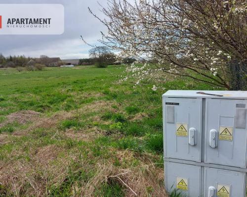 6 tyś m2 w Małych Rudach, raj dla fanów przyrody