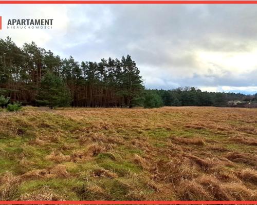 Super działka przy lesie w Drzewcach