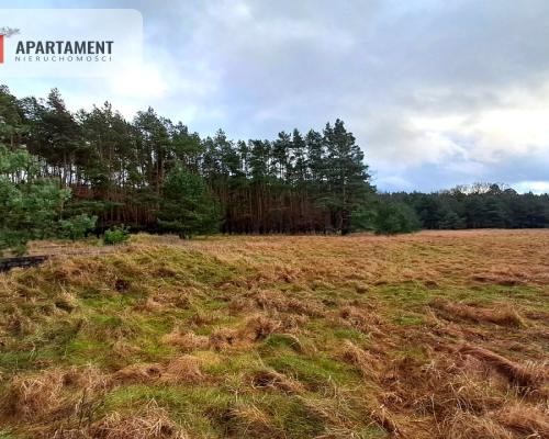 Super działka przy lesie w Drzewcach
