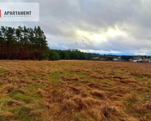 Super działka przy lesie w Drzewcach