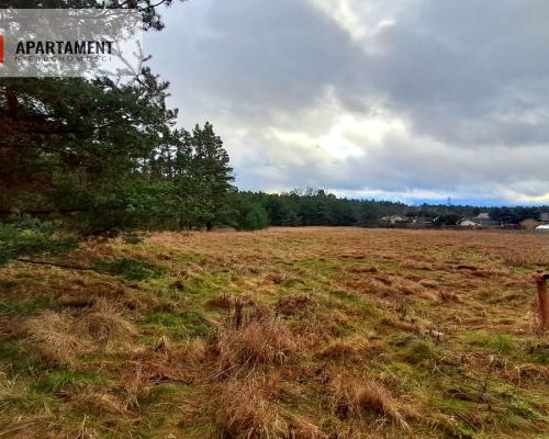 Super działka przy lesie w Drzewcach