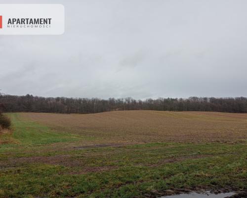 15 ha/działka inwestycyjna/ok. Oborniki Śląskie