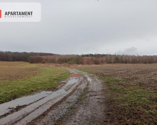15 ha/działka inwestycyjna/ok. Oborniki Śląskie