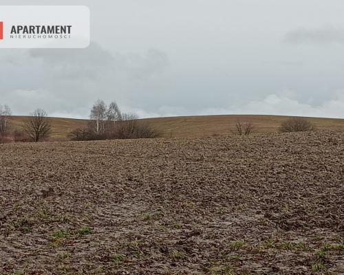 15 ha/działka inwestycyjna/ok. Oborniki Śląskie