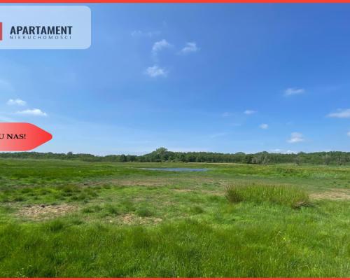 Tylko u Nas! Wyjątkowa Działka przy Rzece Dziwnej!