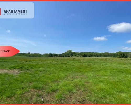 Tylko u Nas! Wyjątkowa Działka przy Rzece Dziwnej!