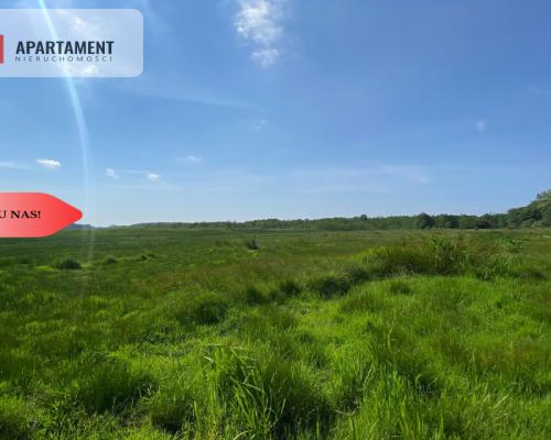 Tylko u Nas! Wyjątkowa Działka przy Rzece Dziwnej!