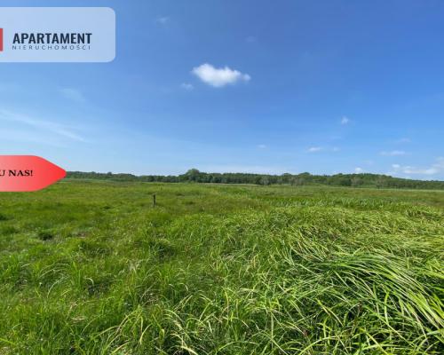 Tylko u Nas! Wyjątkowa Działka przy Rzece Dziwnej!