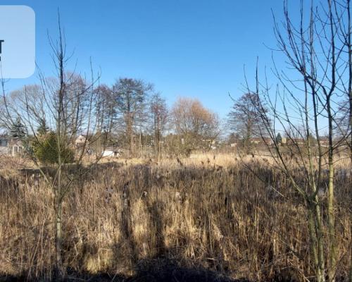 Działka z WZ i stawem