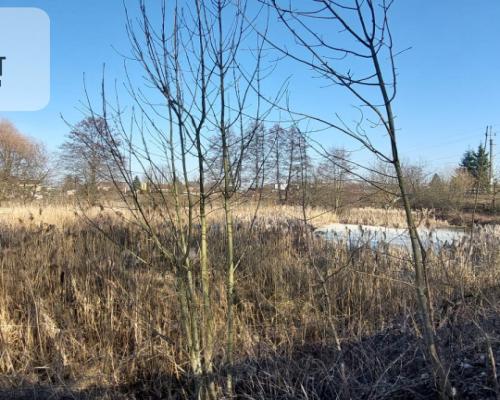 Działka z WZ i stawem