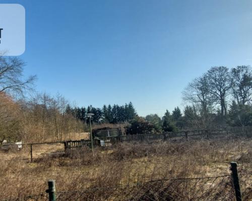 Działka z WZ i stawem