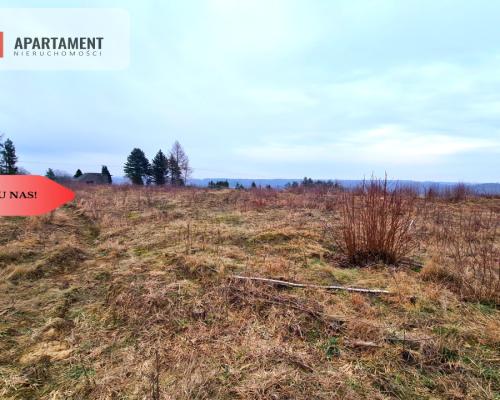 Działka 350m od jeziora!!