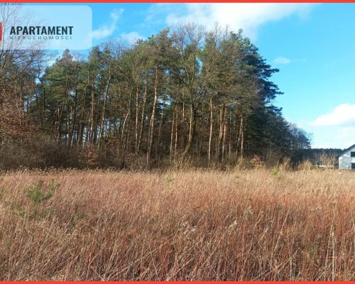 Piękna działka w pobliżu jeziora i lasy