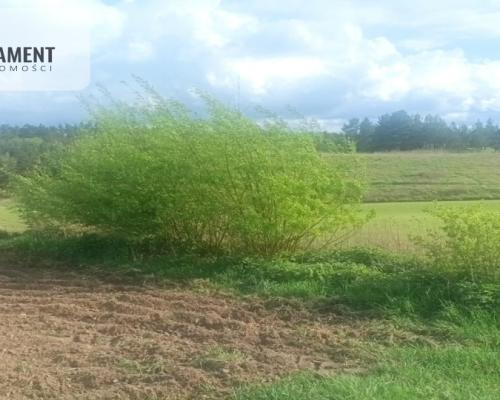 Piękna działka w pobliżu jeziora i lasy