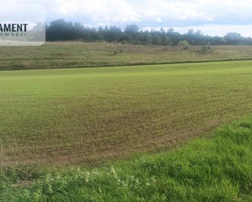 Piękna działka w pobliżu jeziora i lasy