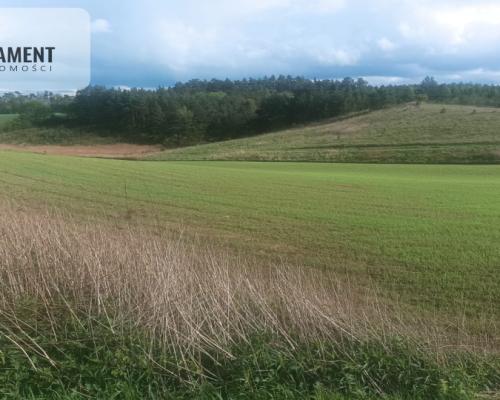 Piękna działka w pobliżu jeziora i lasy