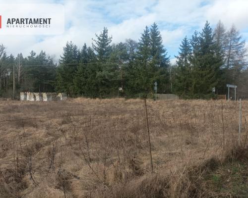 Piękna działka w pobliżu jeziora i lasy