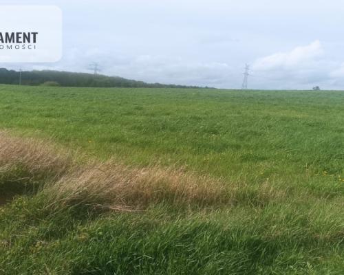 Piękna działka w pobliżu jeziora i lasy