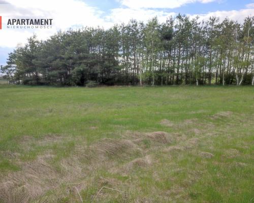 DZIAŁKI BUDOWLANE w SZUBINIE WARUNKI ZABUDOWY!