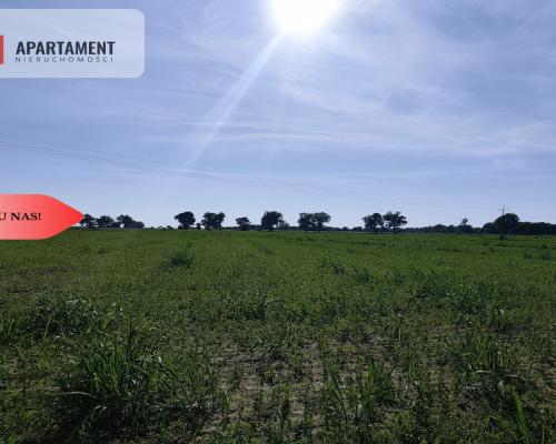 Działka 3000 mkw z WZ – spokojna okolica