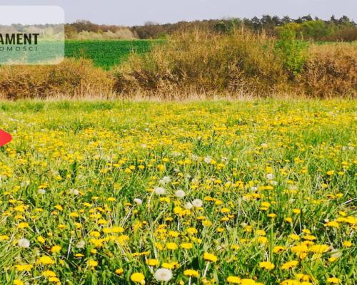 Działka 3000 mkw z WZ – spokojna okolica