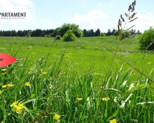 Działka 3000 mkw z WZ – spokojna okolica