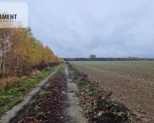 Działka z warunkami zabudowy