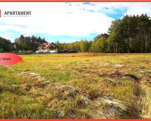 TYLKO U NAS !!! TOPORZYSKO 1000 m2 - LAS ICISZA