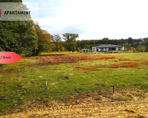 TYLKO U NAS !!! TOPORZYSKO 1000 m2 - LAS ICISZA