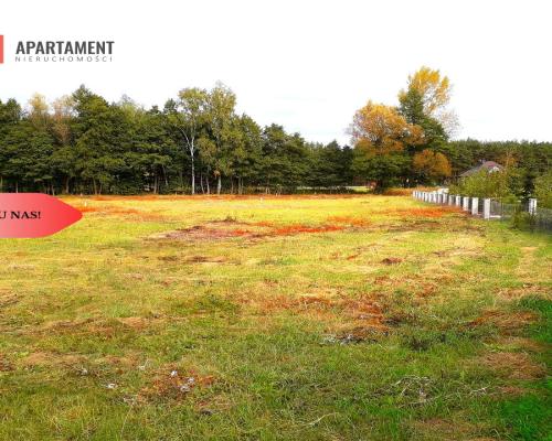 TYLKO U NAS !!! TOPORZYSKO 1000 m2 - LAS ICISZA