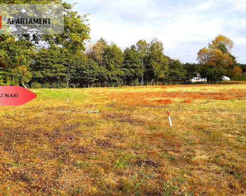 TYLKO U NAS !!! TOPORZYSKO 1000 m2 - LAS ICISZA