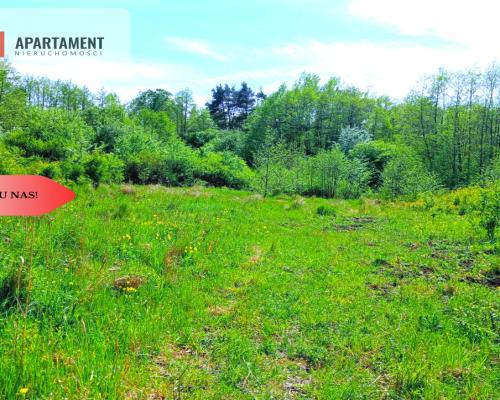 Piękna działka 150 m od Brdy