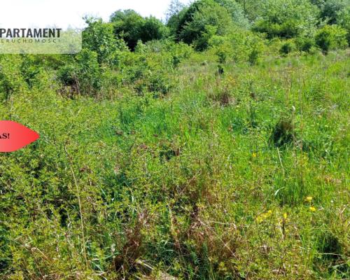 Piękna działka 150 m od Brdy