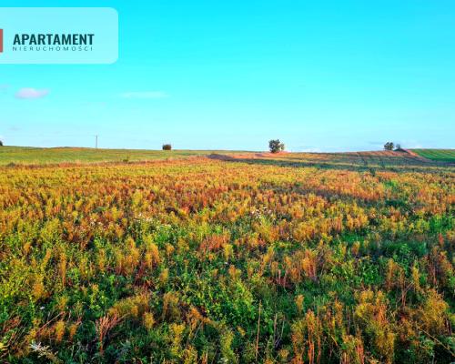 OKAZJA! Działki usługowo-mieszkalne w Skorzewie!!