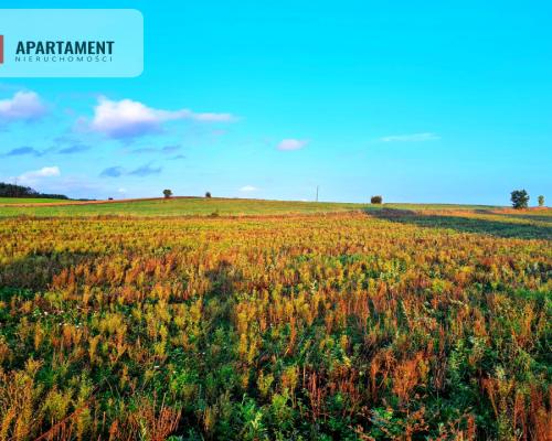 OKAZJA! Działki usługowo-mieszkalne w Skorzewie!!