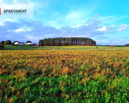 OKAZJA! Działki usługowo-mieszkalne w Skorzewie!!