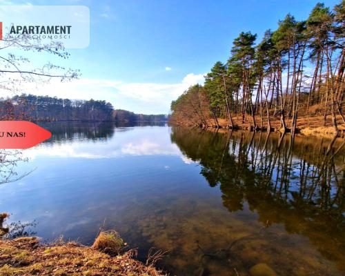 Działki budowlane 200m od rzeki Wdy. Tylko u Nas!