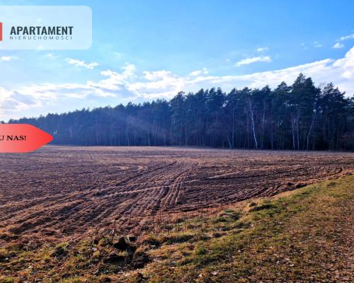 Działki budowlane 200m od rzeki Wdy. Tylko u Nas!