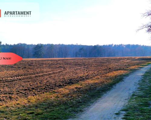 Działki budowlane 200m od rzeki Wdy. Tylko u Nas!