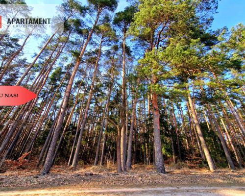 Działki budowlane 200m od rzeki Wdy. Tylko u Nas!