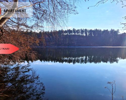 Działki budowlane 200m od rzeki Wdy. Tylko u Nas!