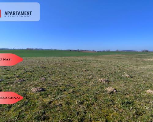 Działki w super cenie z decyzją o wz! Jastrzębiec