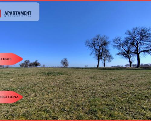 Działki w super cenie z decyzją o wz! Jastrzębiec