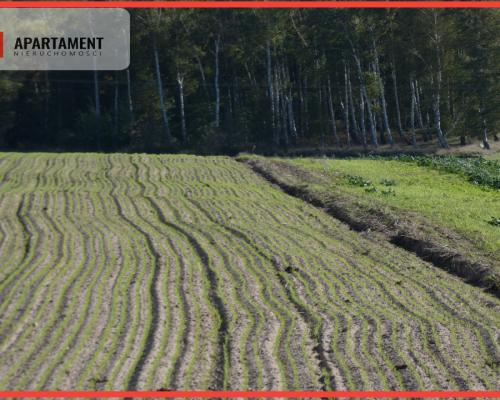 Działki z warunkami zabudowy blisko jezior i lasów