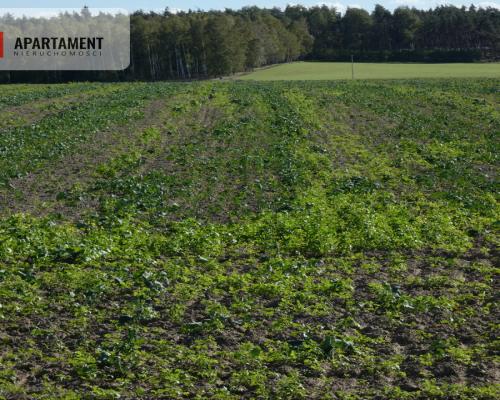 Działki z warunkami zabudowy blisko jezior i lasów