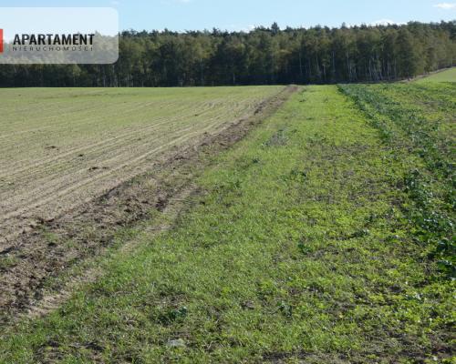 Działki z warunkami zabudowy blisko jezior i lasów